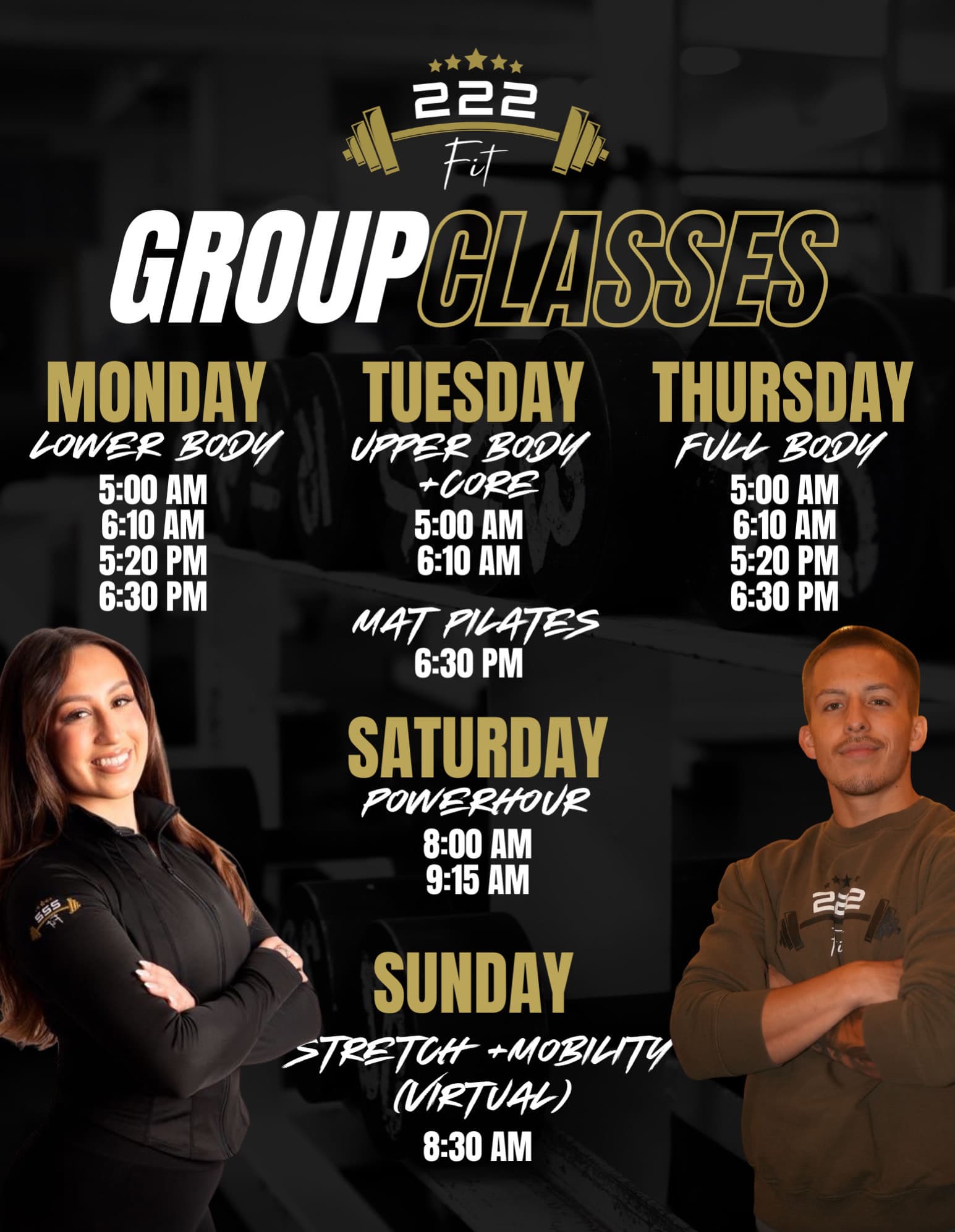 222 Fit weekly group class schedule in Carol Stream — Lower Body, Upper Body + Core, Full Body, Mat Pilates, Power Hour, and virtual Stretch + Mobility